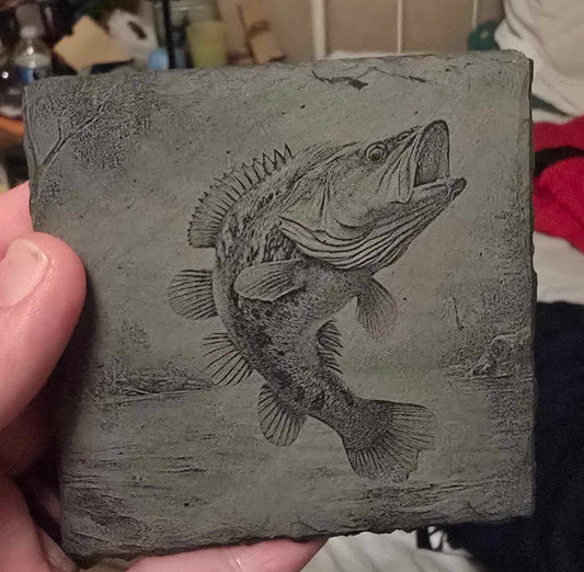Bass Coaster
